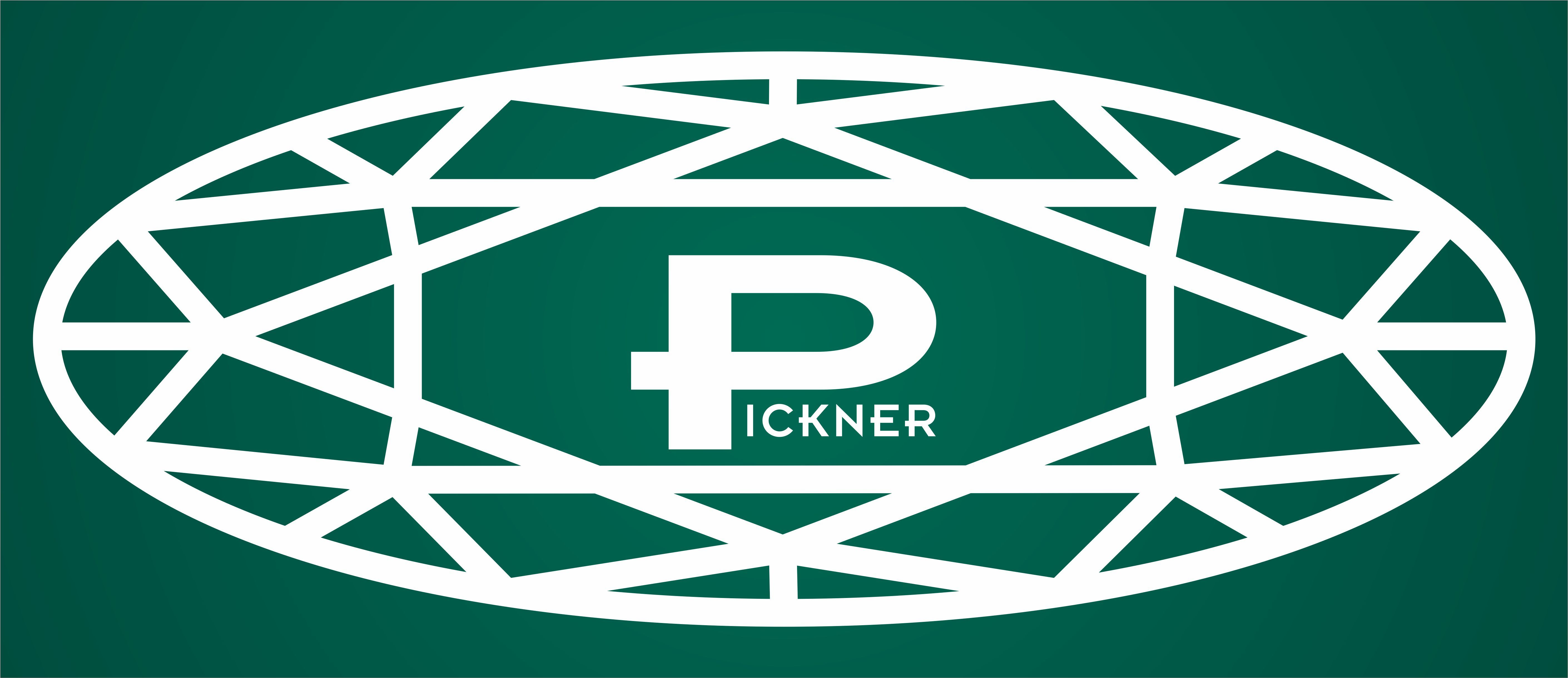 LOGO pickner shop